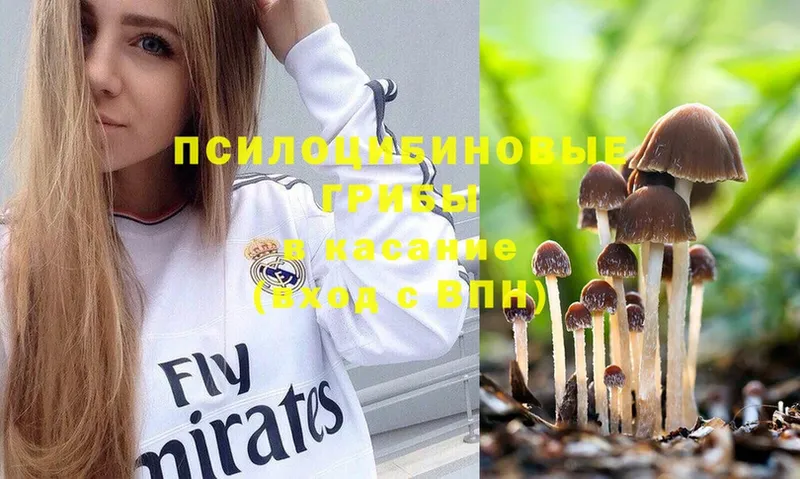 Псилоцибиновые грибы MAGIC MUSHROOMS  Южно-Сахалинск 